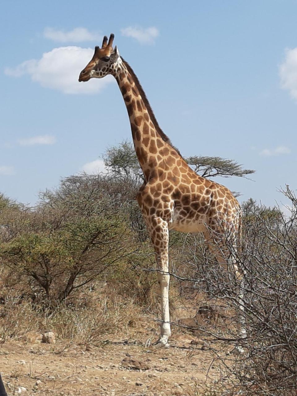 Sandai Resort Lake Baringo Ol Kokwe Bagian luar foto